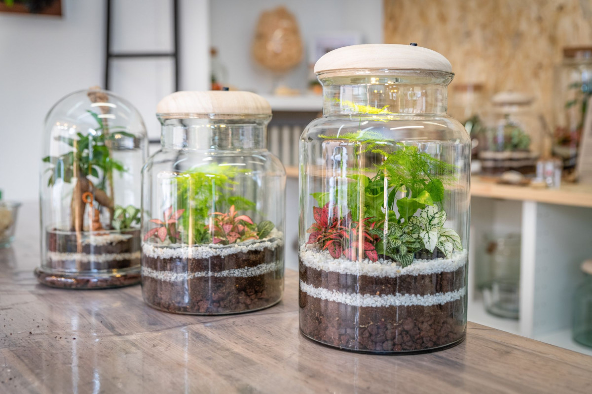 Créez votre terrarium