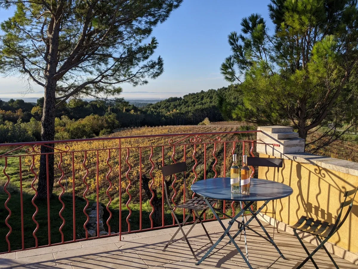 Visitez un domaine viticole et dégustez des vins