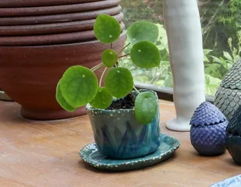 Modelez vos pots de fleurs en céramique