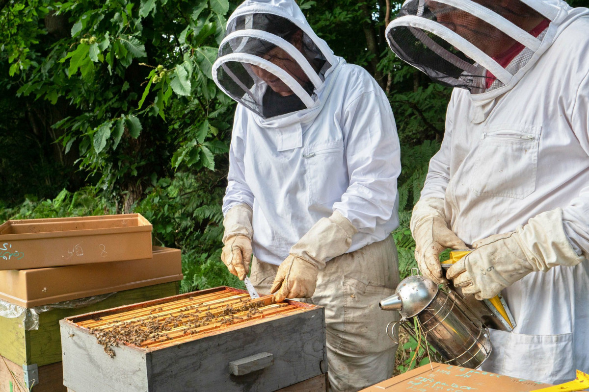 Passez une journée dans la peau d'un apiculteur