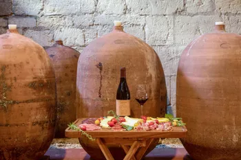 Participez à la fabrication du vin en amphores