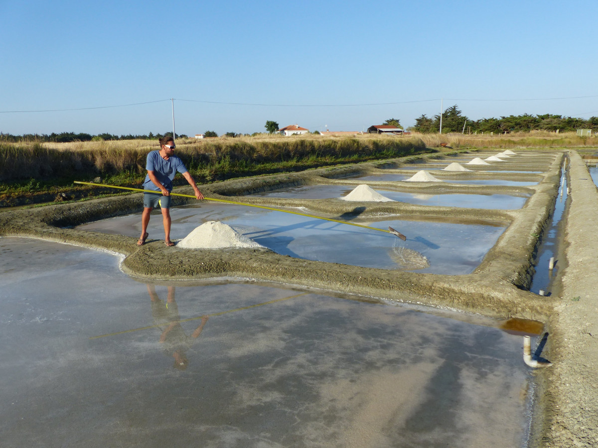 Visitez des salines et récoltez votre fleur de sel