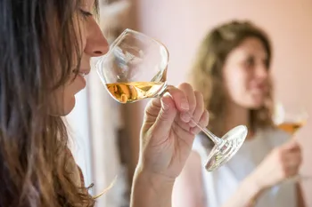 Découvrez et dégustez des vins alsaciens