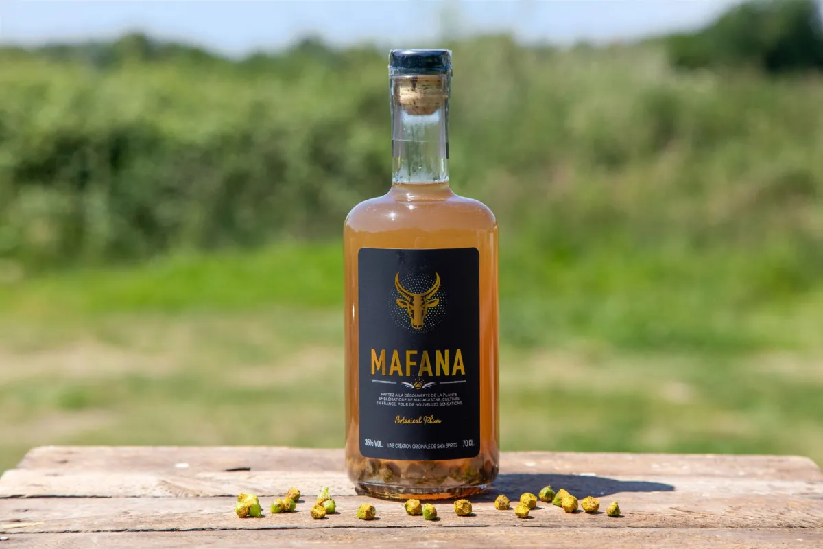 Assemblez votre rhum