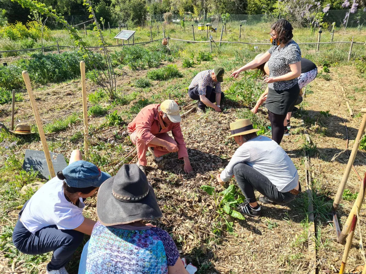 Initiez-vous à l'agriculture urbaine