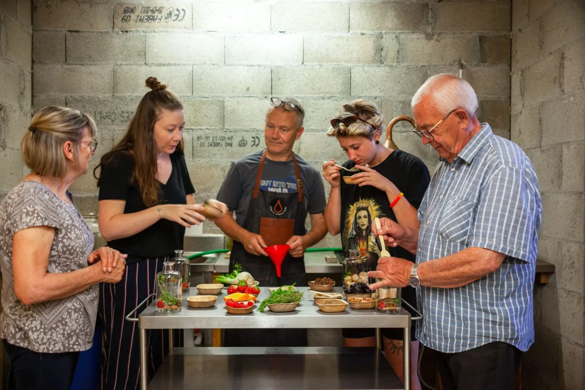 Immergez-vous dans le monde de la distillerie