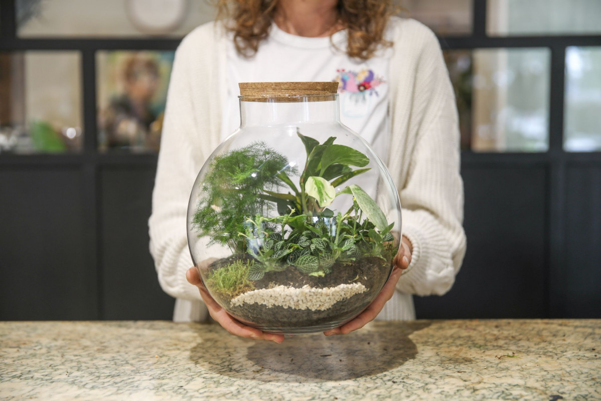 Composez votre terrarium