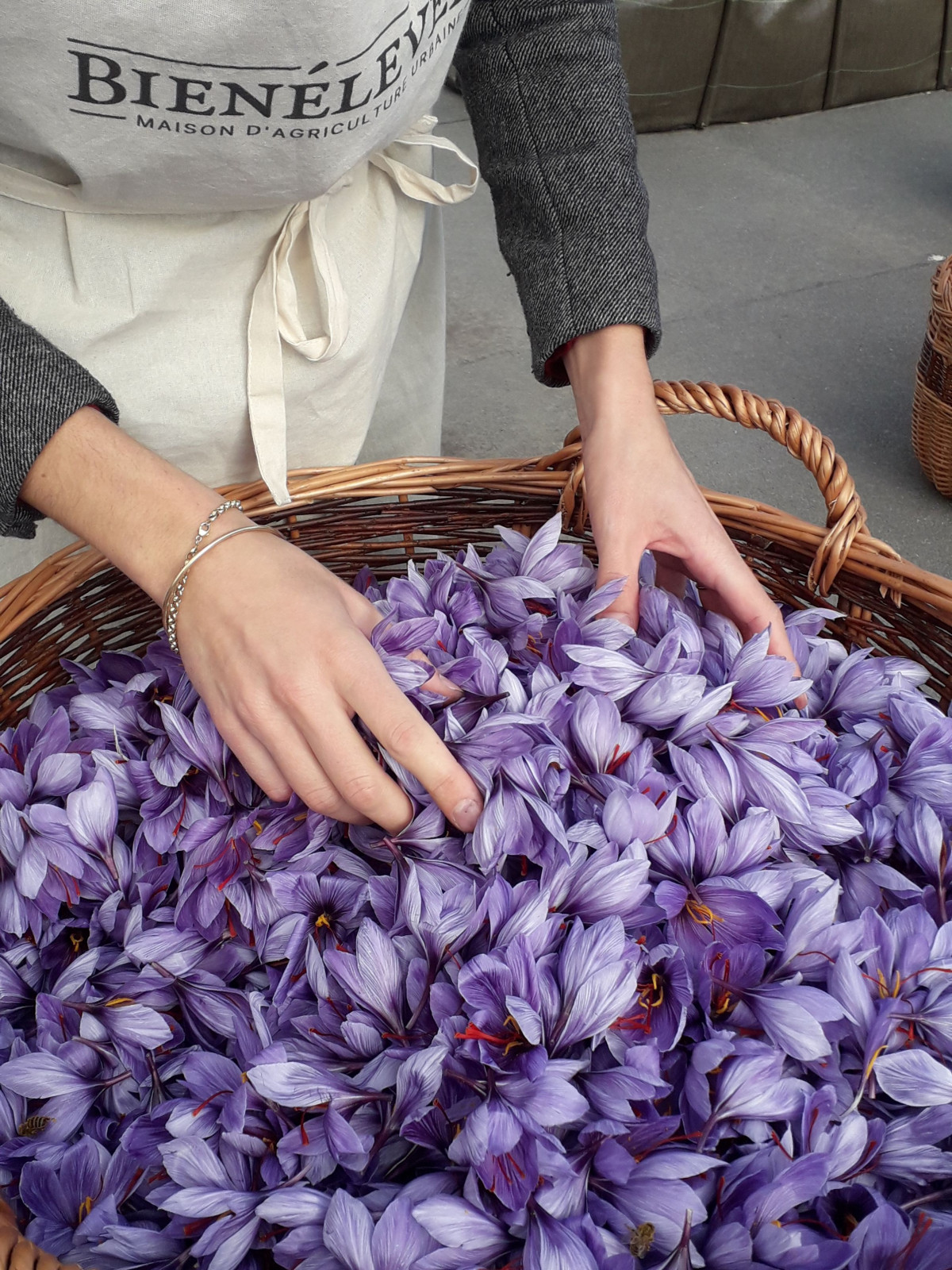 Visitez une safranière sur le toit de l'Opéra