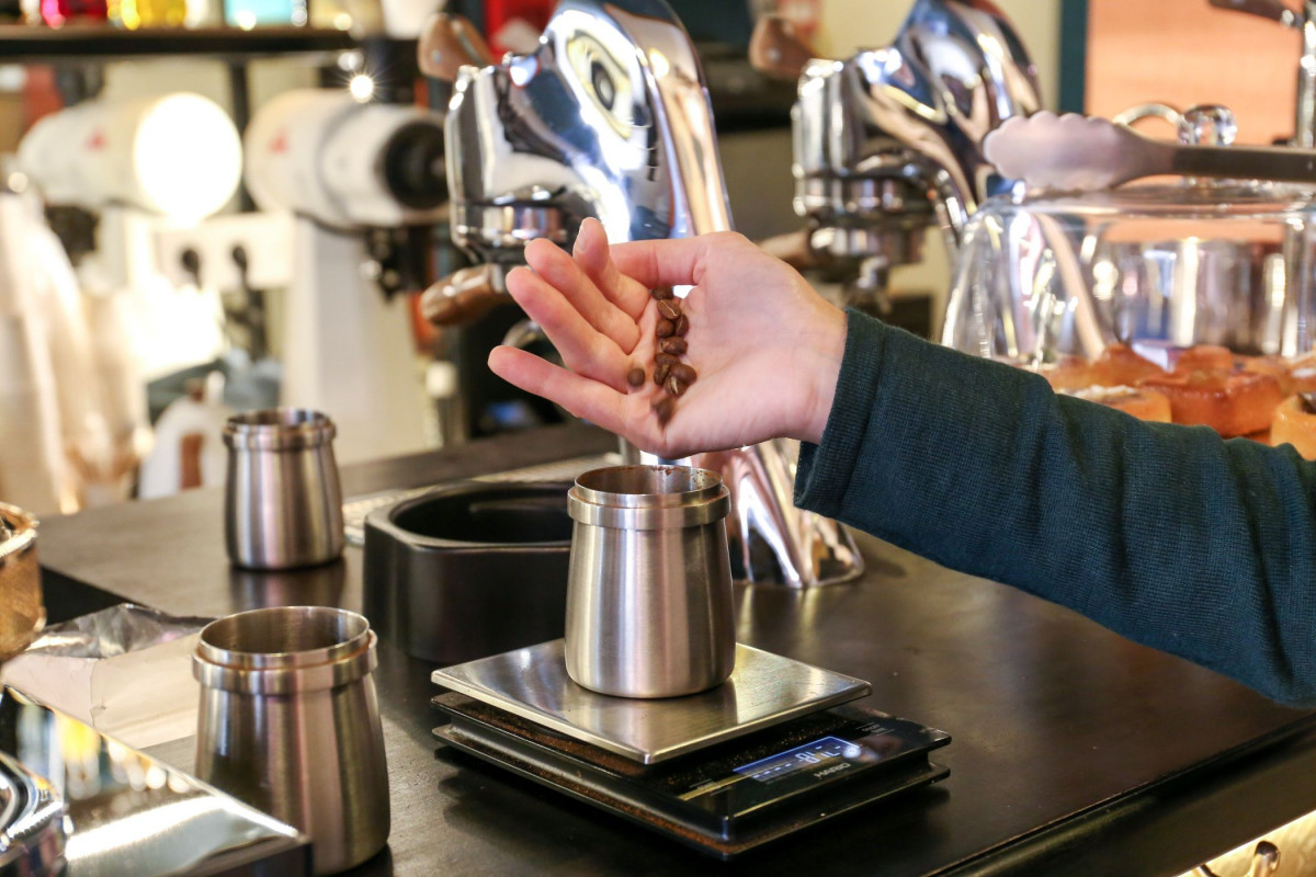 Découvrez l'art de la torréfaction