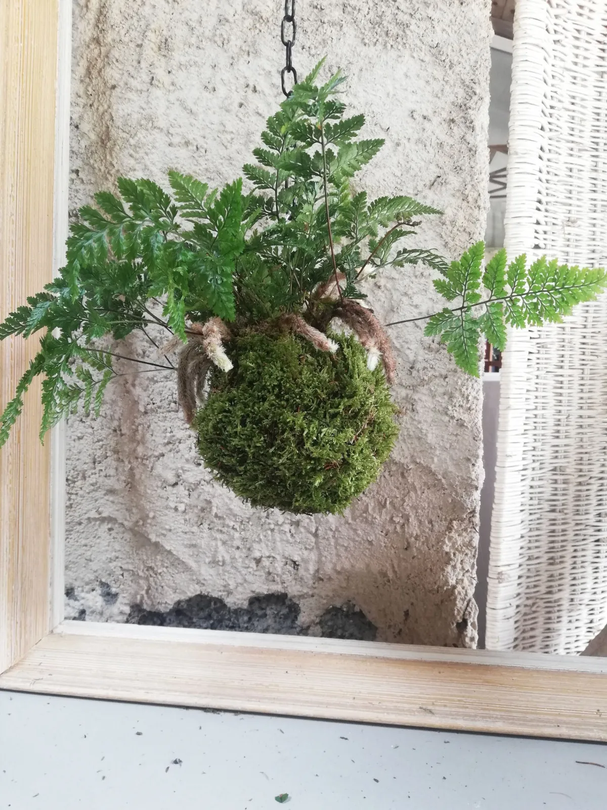 Fabriquez votre kokedama