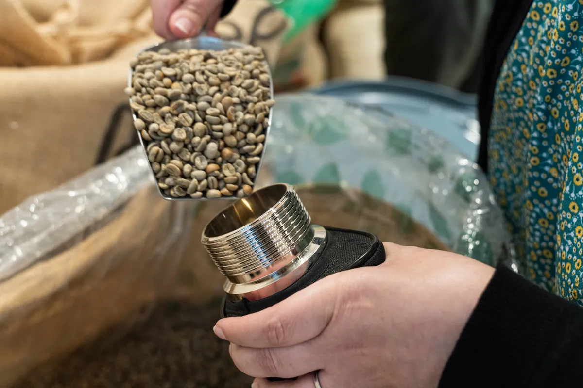 Initiez-vous à la torréfaction