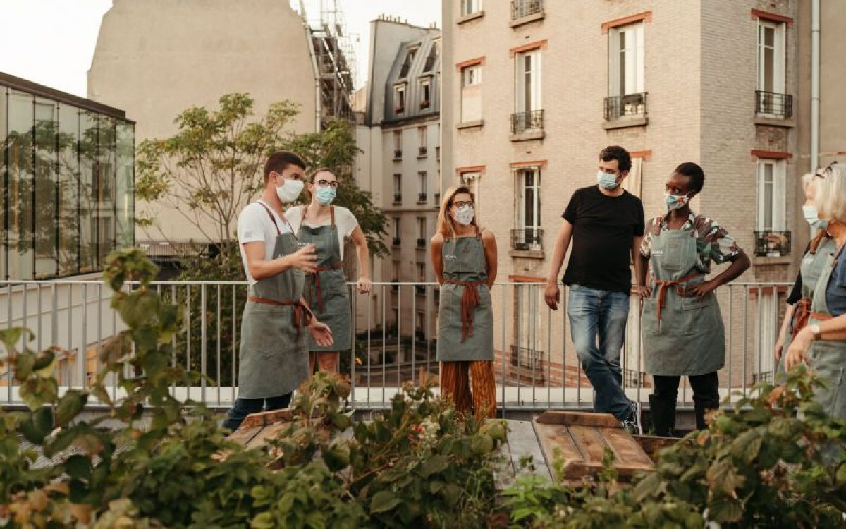 Découvrez la permaculture