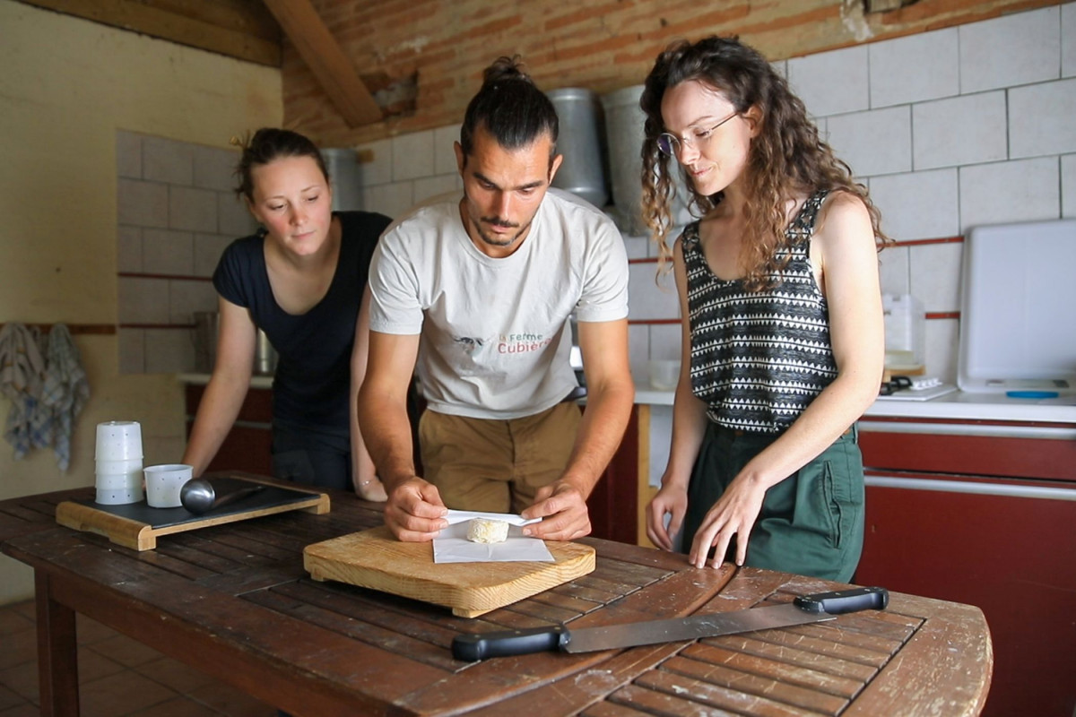 Fabriquez votre fromage fermier de brebis