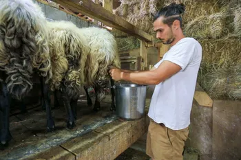 Wecandoo - Immergez-vous dans la vie d'un fermier fromager - 2J