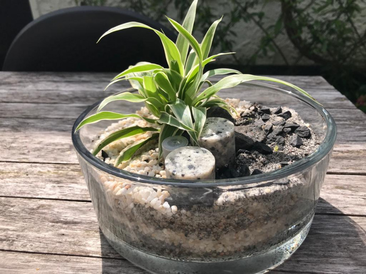 Réalise ton premier terrarium