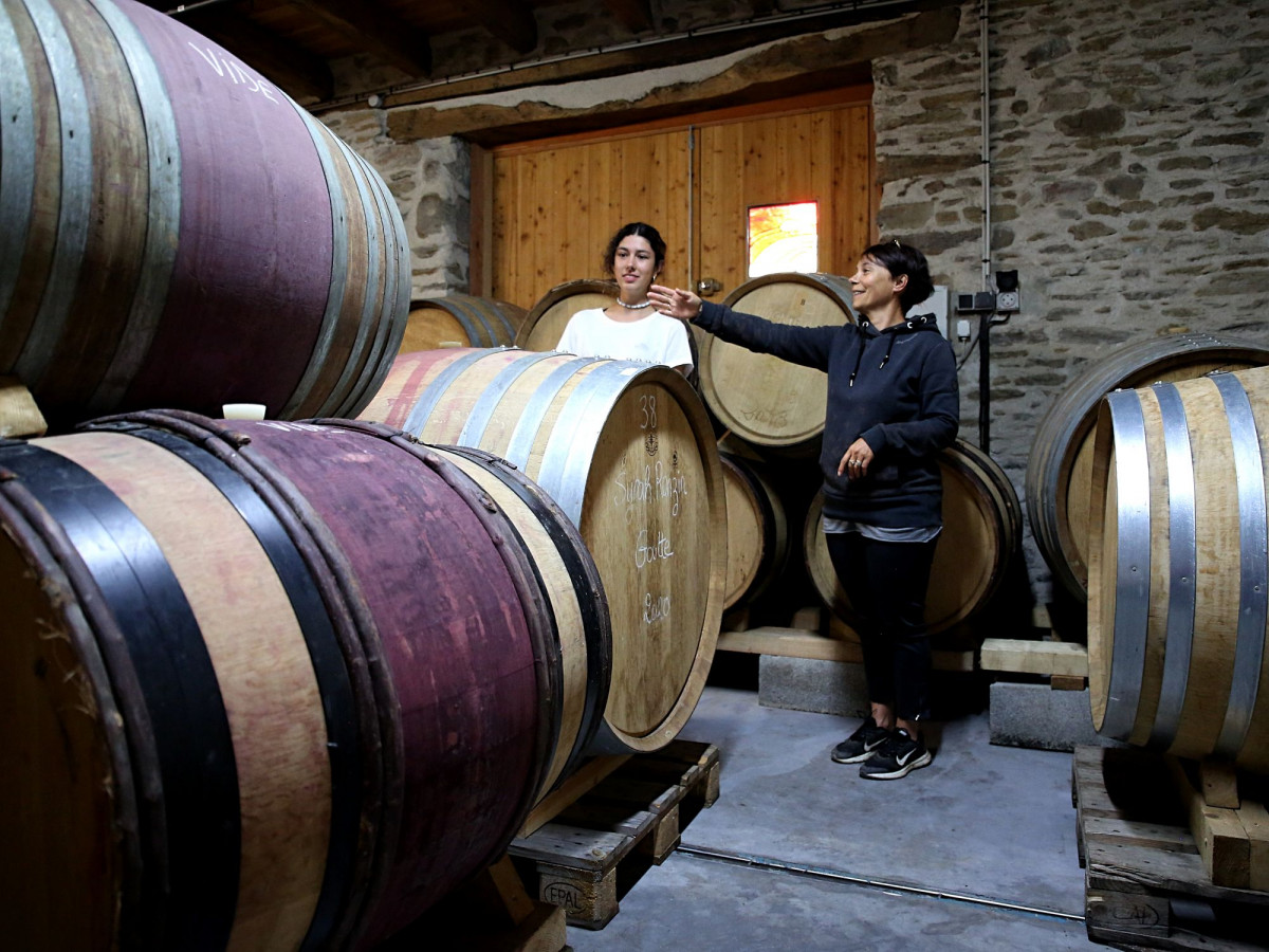 Visitez un domaine en biodynamie et dégustez du vin à Lyon