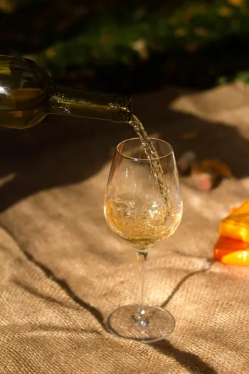 Découvrez le travail des vignes en biodynamie