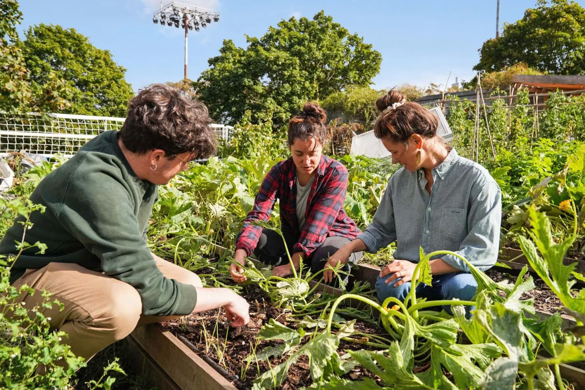 Initiez-vous à la permaculture