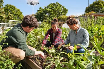 Initiez-vous à la permaculture