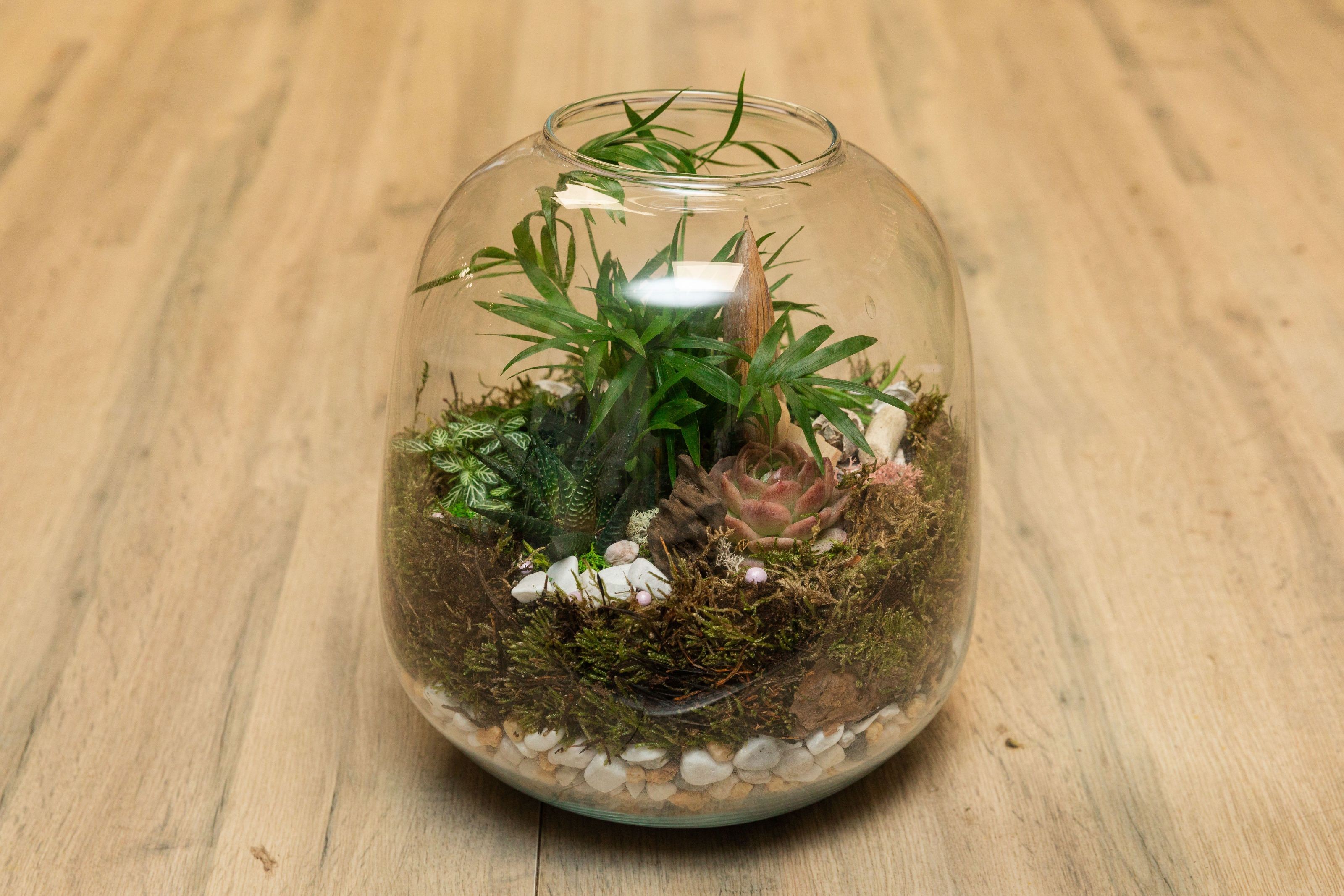 Réalisez votre terrarium