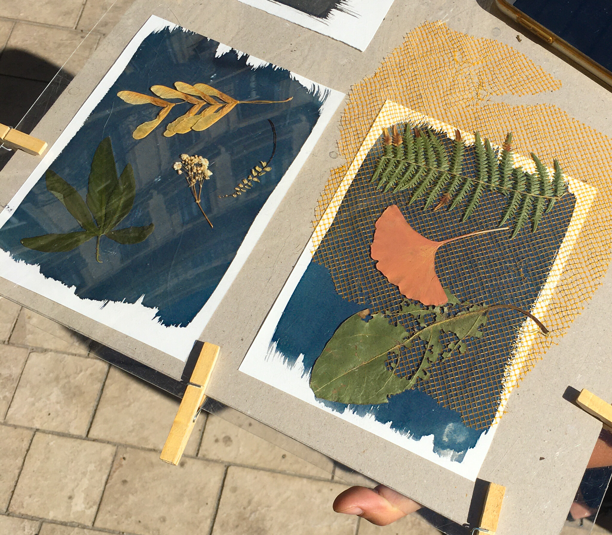 Initiez-vous à la technique du cyanotype