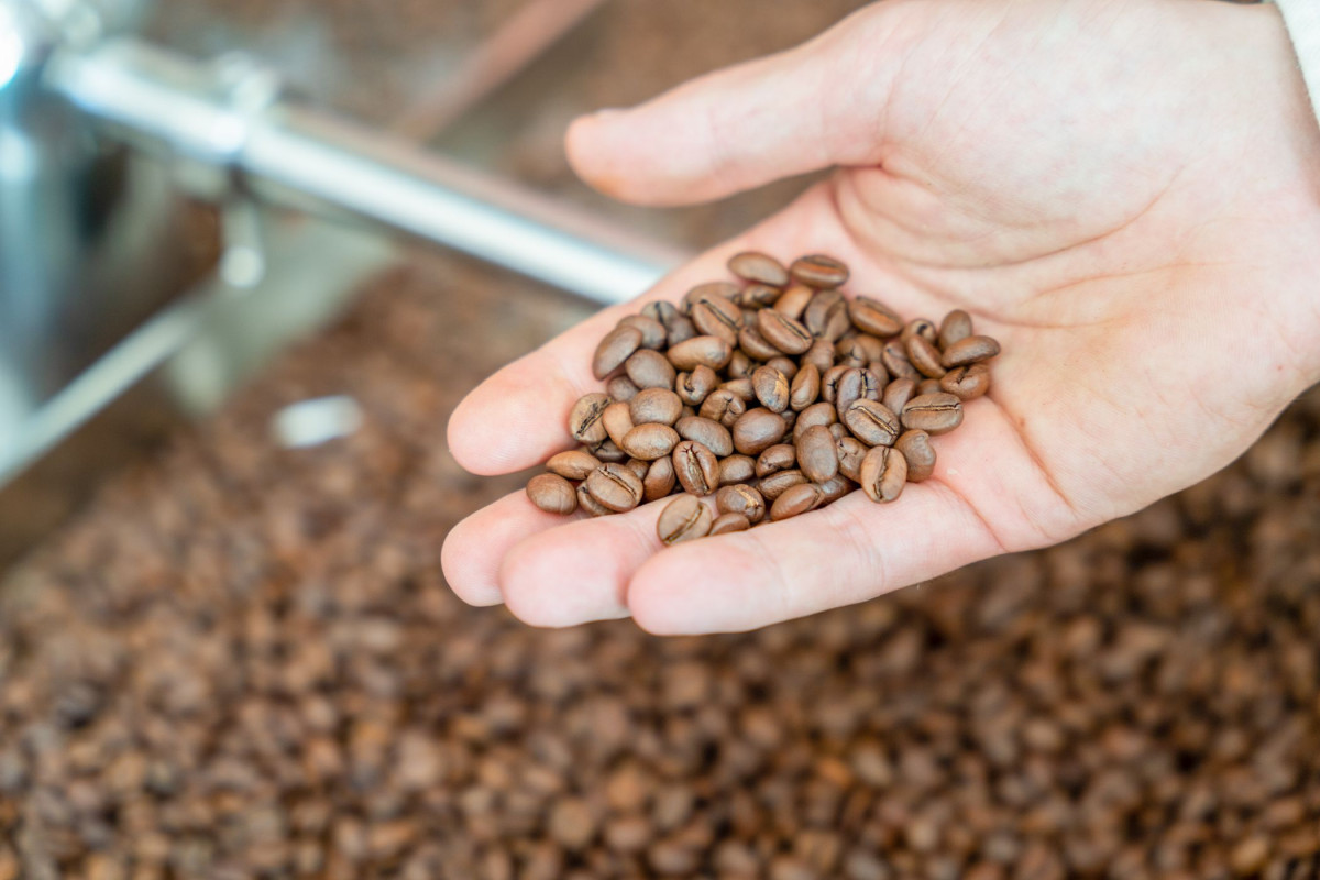 Torréfiez votre café à Marseille