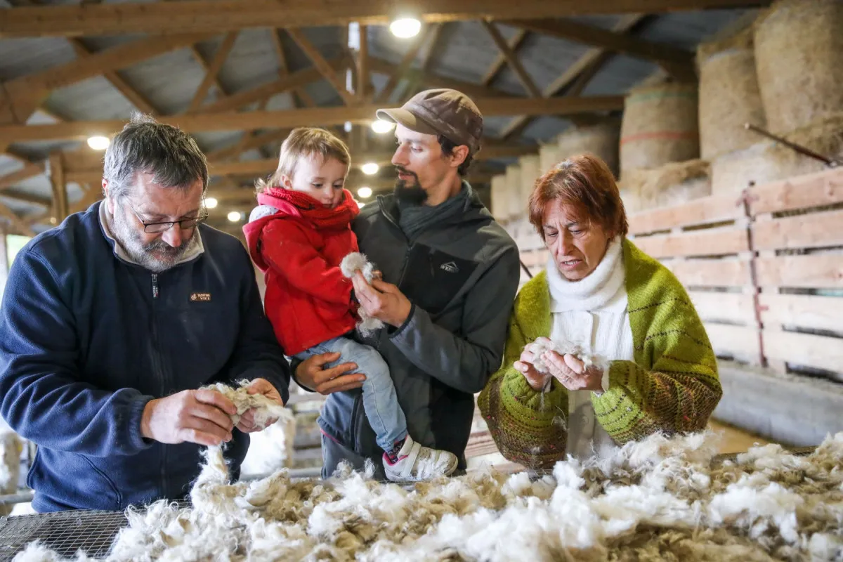 Initiez-vous au travail du mohair