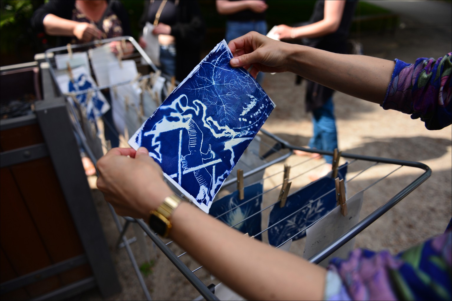 Initiez-vous à l'impression cyanotype