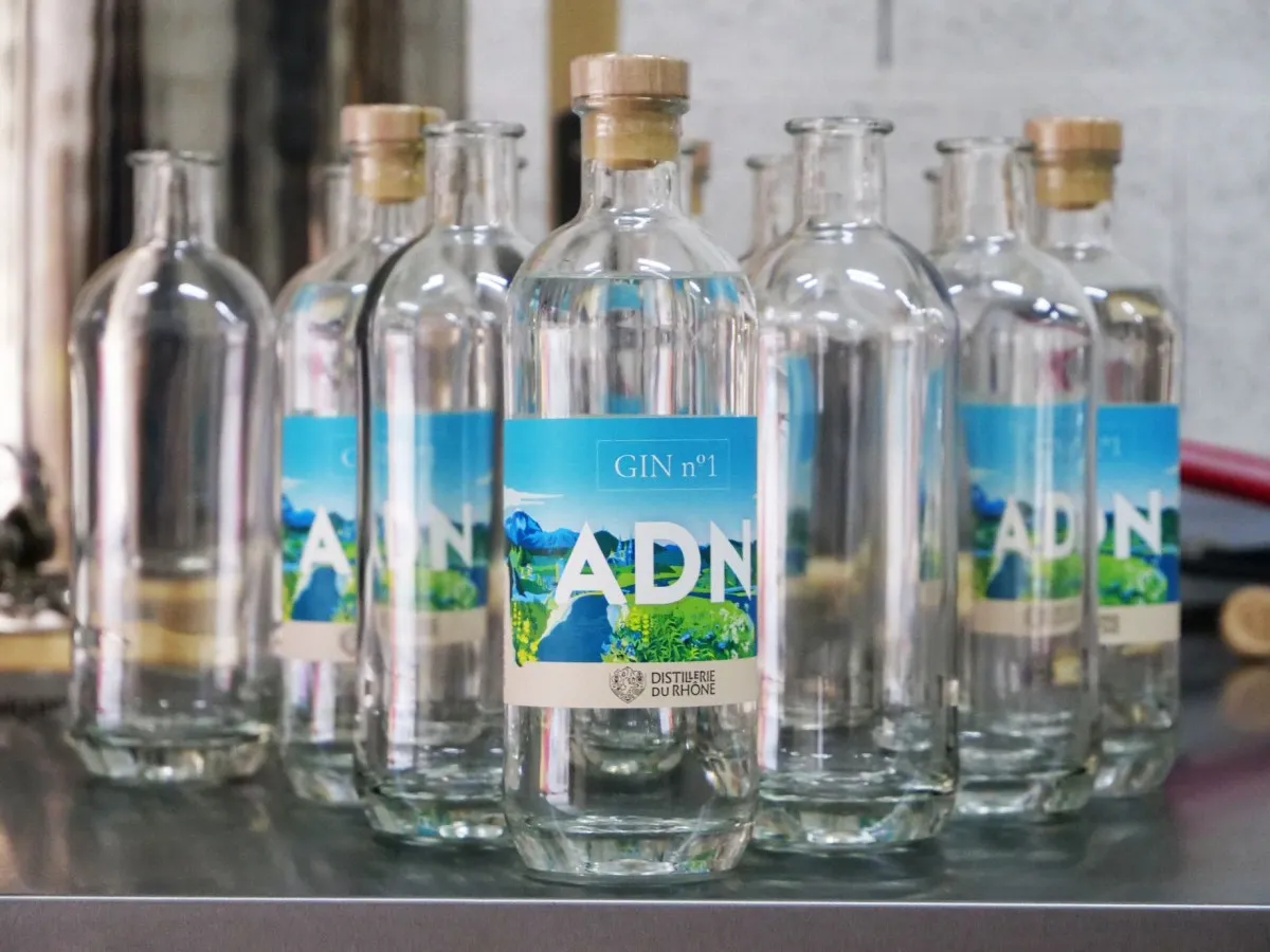 Initiez-vous à la distillation d'un spiritueux