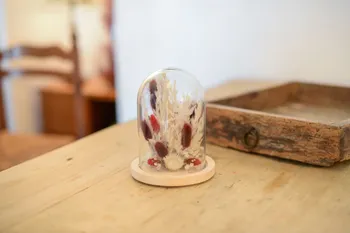Créez votre cloche de fleurs séchées