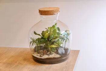 Créez votre grand terrarium