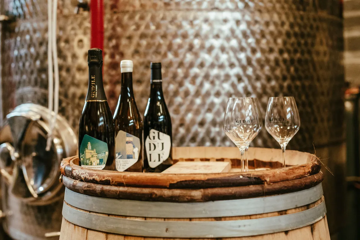 Sample Brussels organic wines in an urban winery