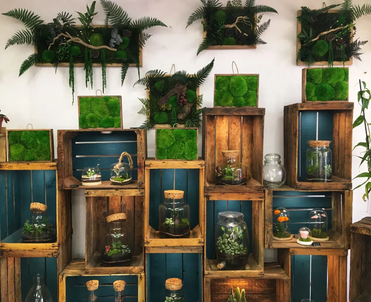 Créez votre terrarium medium