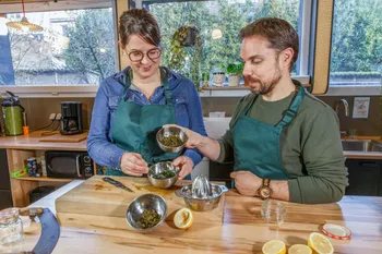 Cueillez et cuisinez des plantes sauvages en forêt