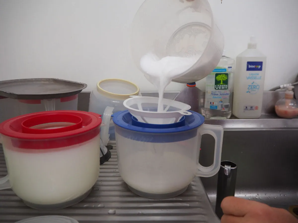 Créez votre soin visage au lait d'ânesse