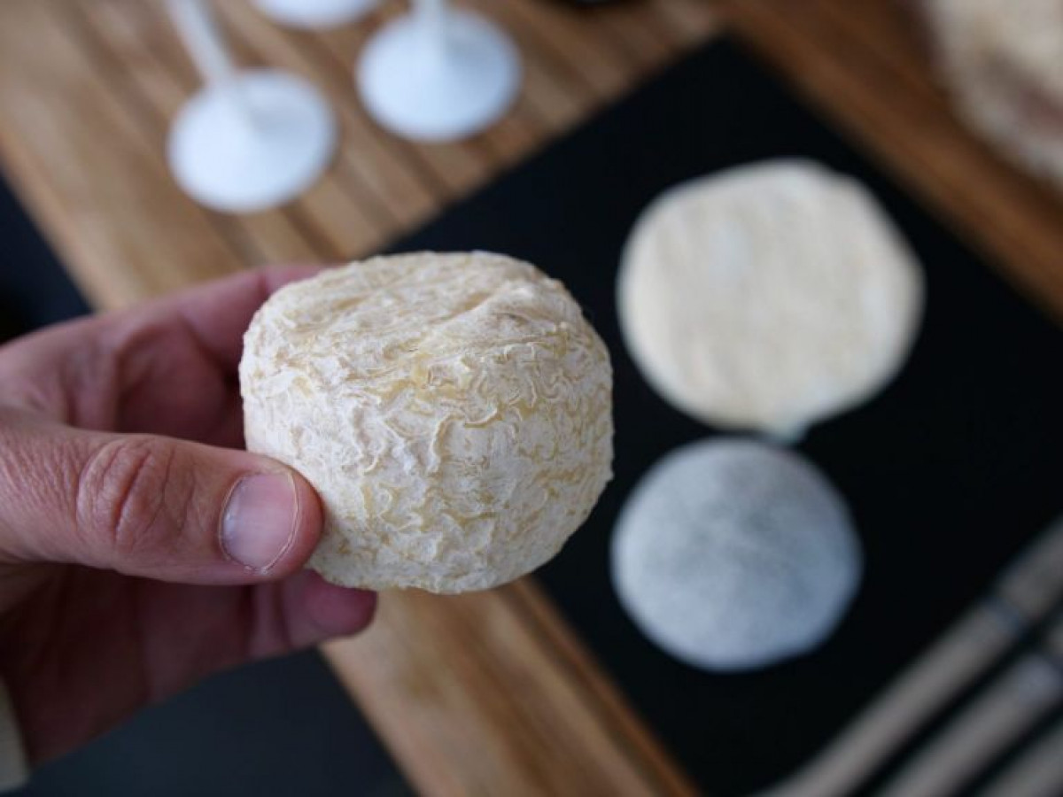 Fabriquez votre fromage de chèvre à Anglet