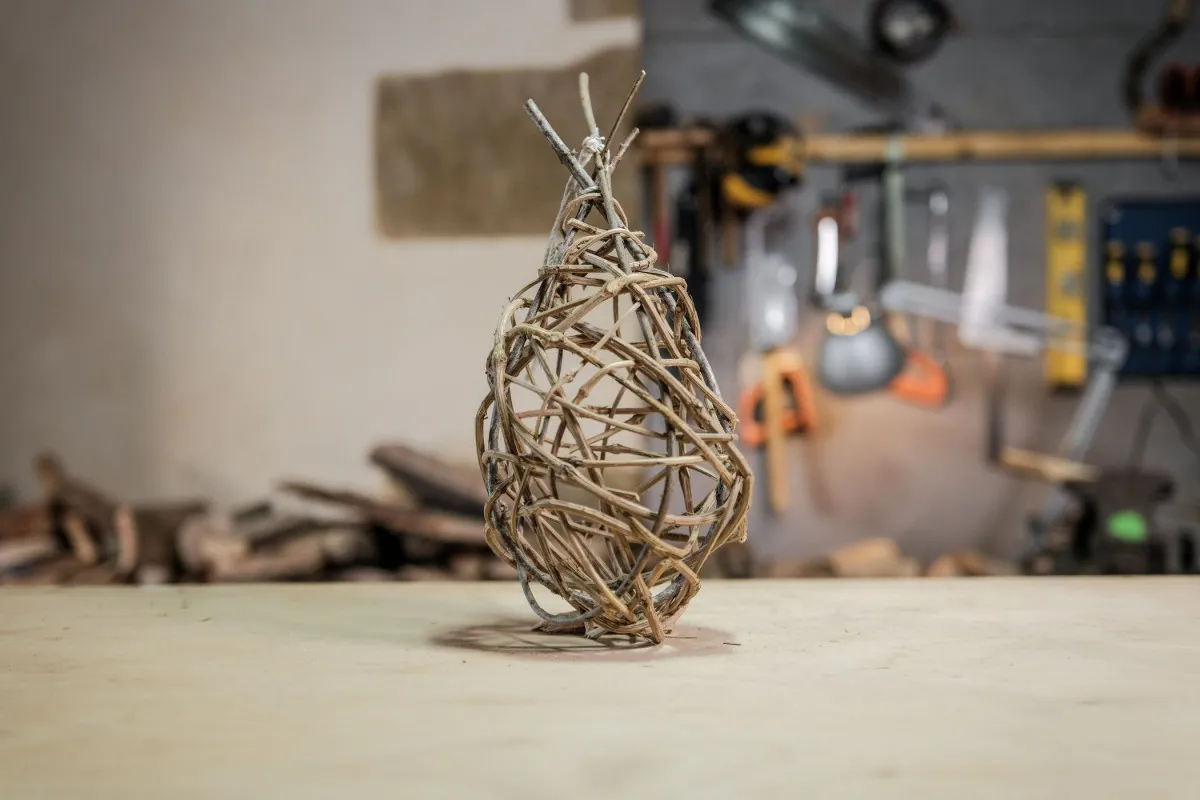 Découvrez la vannerie sauvage