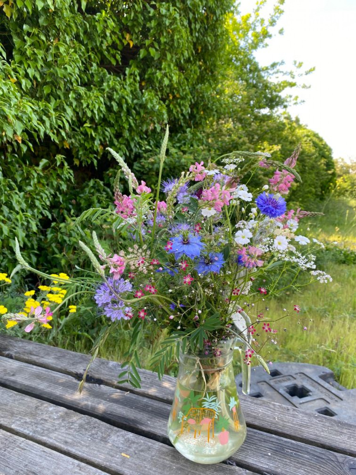 Visitez une ferme florale en permaculture