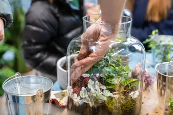 Composez vos terrariums en équipe