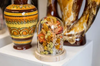 Créez une composition de fleurs séchées sous cloche