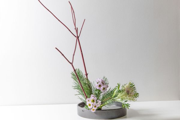 Wecandoo - Composez votre ikebana moribana