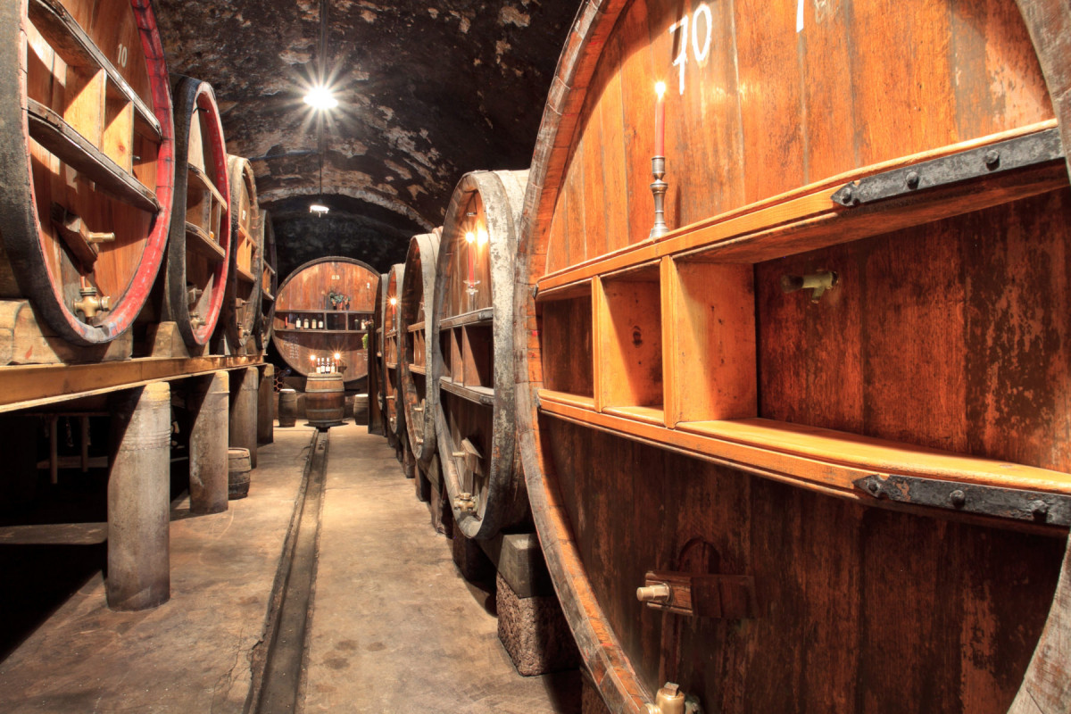 Visitez et dégustez dans un domaine provençal