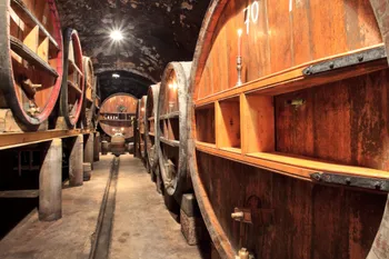 Visitez et dégustez dans un domaine provençal