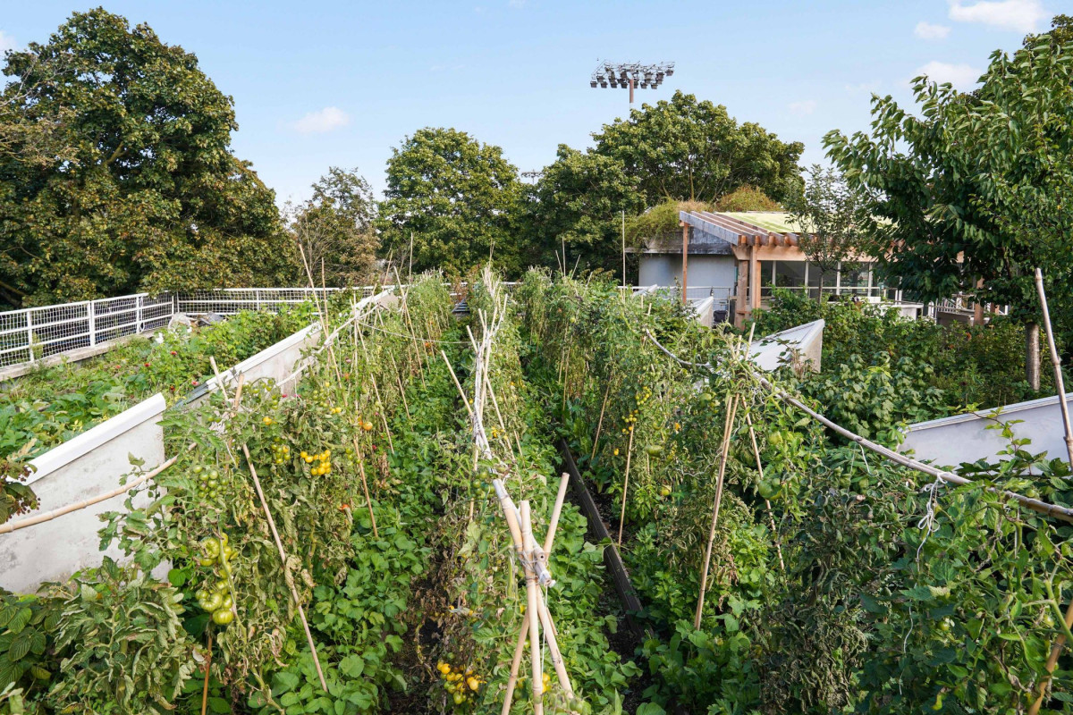 Initiez-vous à l’agriculture urbaine sur une journée