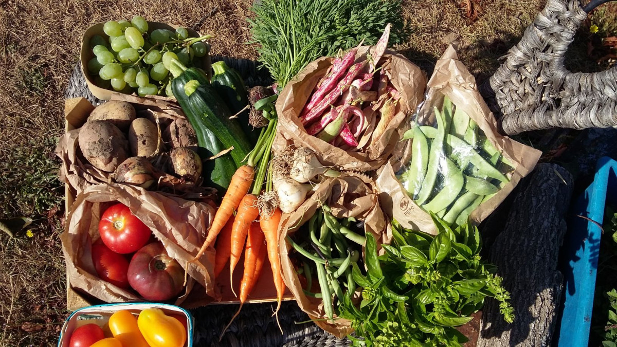 Initiez vous à la permaculture