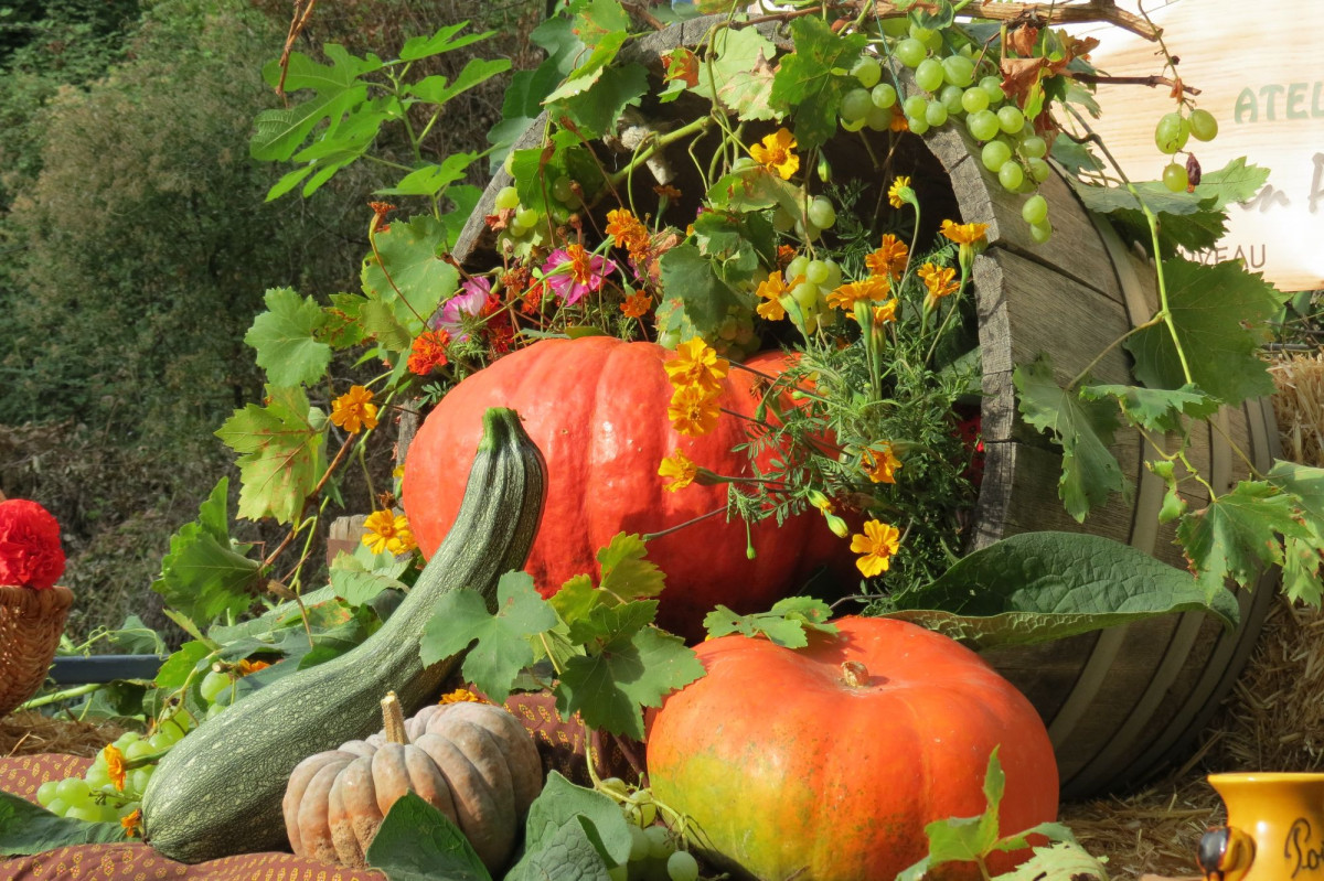 Initiez-vous à la permaculture sur deux jours