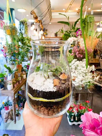 Wecandoo - Créez et composez votre terrarium (taille M)