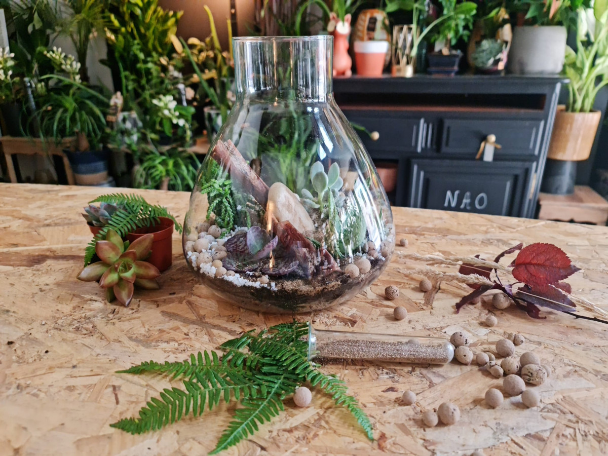 Créez votre terrarium