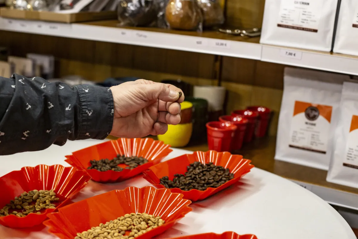 Torréfiez votre café de spécialité