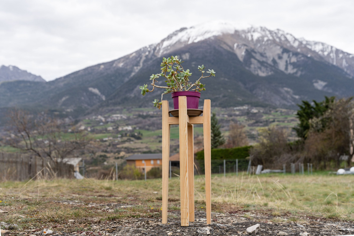 Créez un support pour votre plante